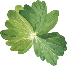 leaf2-icons