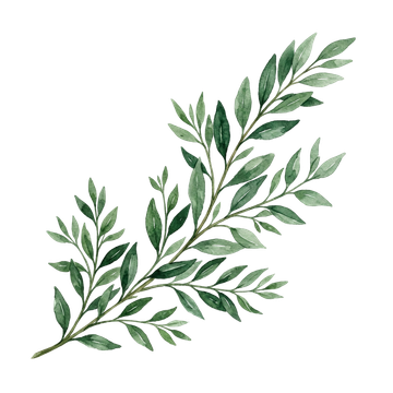 botanical_bridge-icons
